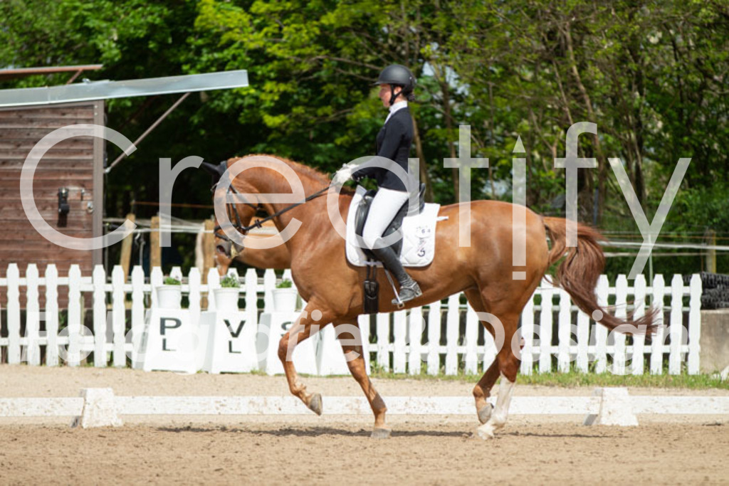 IMG_5122 | Creatify Fotografie