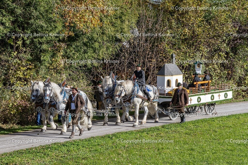 LBT24-473 | foto-bettina-krinner - Realisiert mit Pictrs.com
