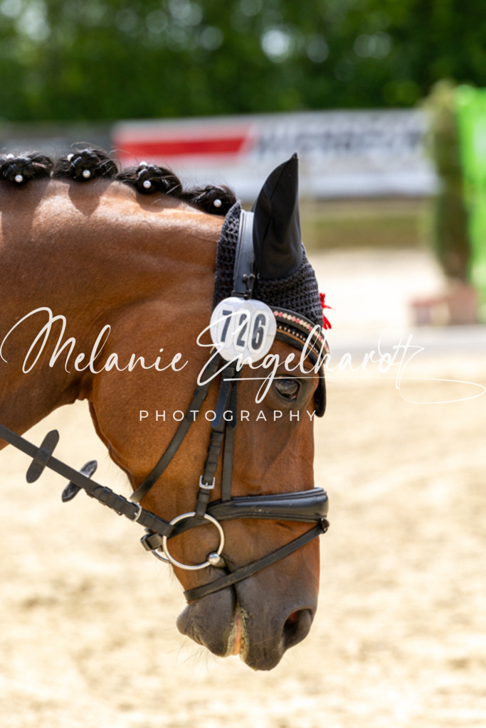 7I8A5760 | melanie-engelhardt-photography - Realisiert mit Pictrs.com