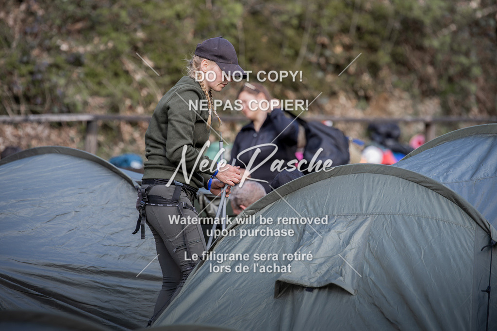 NR__0718 | nelerasche
