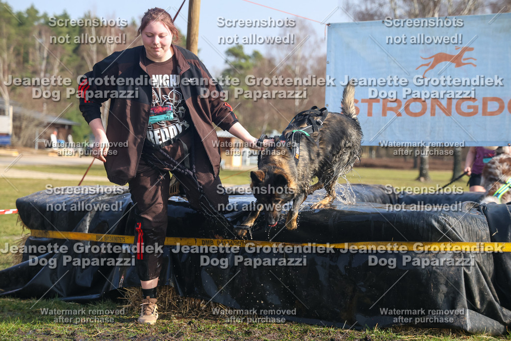 Dog Paparazzi - Strongdog North Mrz26-1887 | Dog Paparazzi Jeanette Grottendiek Fotografie & Videografie - Realisiert mit Pictrs.com