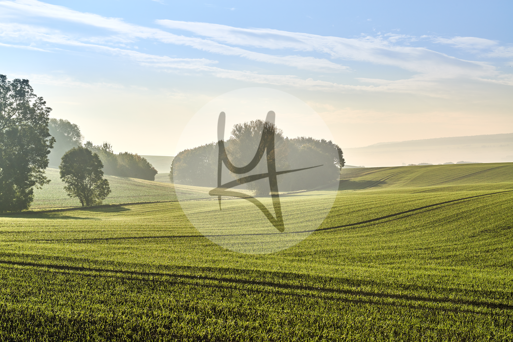 Landschaft im Morgennebel - Nördliches Harzvorland - #nHavo | Meurer Shop - Realisiert mit Pictrs.com