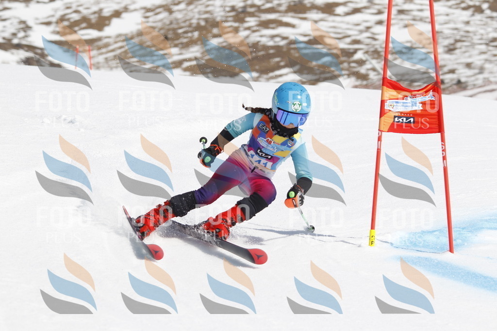 _U3G1053 | holidayphoto