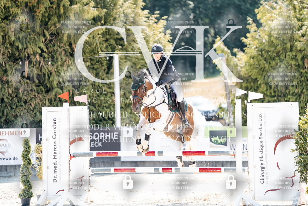 CK909332 | Turnierfotografie Pferdefotografie Trier Rheinland-Pfalz Pferdesport Reitsport Tierfotografie Sportfotografie Pferdevideo Pferdevideografie Equestrianvideography equestrianphotography  - Realisiert mit Pictrs.com