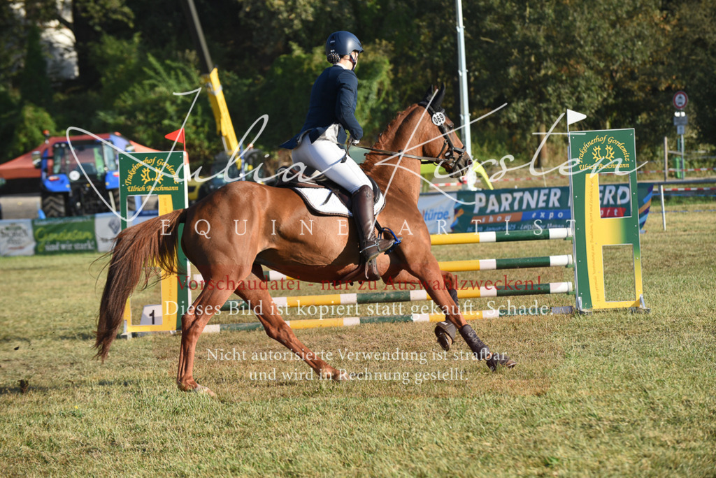 DSC_4902 | Pferde- und Turnierfotografie in Westsachsen. Pferdeportraits, Auftragszeichnungen und intuitive Kunst.