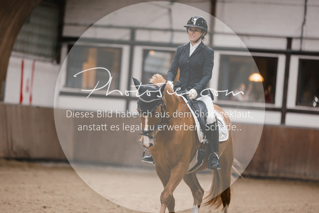3I6A6463 | Stimmungsvolle Portraits und Reitsportfotografie im Ruhrgebiet und im Münsterland.

Pferdefotografie, Hundefotografie, Tierfotografie, Reportagen, Portraits von Tier und Mensch, Turnierfotografie in Bochum, Recklinghausen, Marl, Haltern am See, Dülmen.. - Realisiert mit Pictrs.com