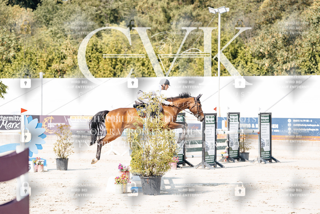 CK901667 | Turnierfotografie Pferdefotografie Trier Rheinland-Pfalz Pferdesport Reitsport Tierfotografie Sportfotografie Pferdevideo Pferdevideografie Equestrianvideography equestrianphotography  - Realisiert mit Pictrs.com