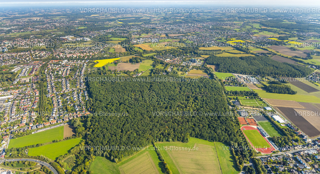 Hamm250900383 | Luftbild, komplette Ansicht der Sportplätze vom HSC in Westtünnen, HSC Kleinspielfeld Fuchshöhle, Pilsholz Wald, Blumen Bintig GmbH und Hüls Wald, Stadtbezirk Rhynern, Hamm, Ruhrgebiet, Nordrhein-Westfalen, Deutschland