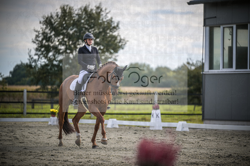 DOS_1111 | Entdecke hochwertige Reitturnierfotos von Foto Oger. Professionell, emotional und authentisch – jetzt Lieblingsmomente im Shop bestellen.Deutschlandweite Turnierfotografie. - Realisiert mit Pictrs.com