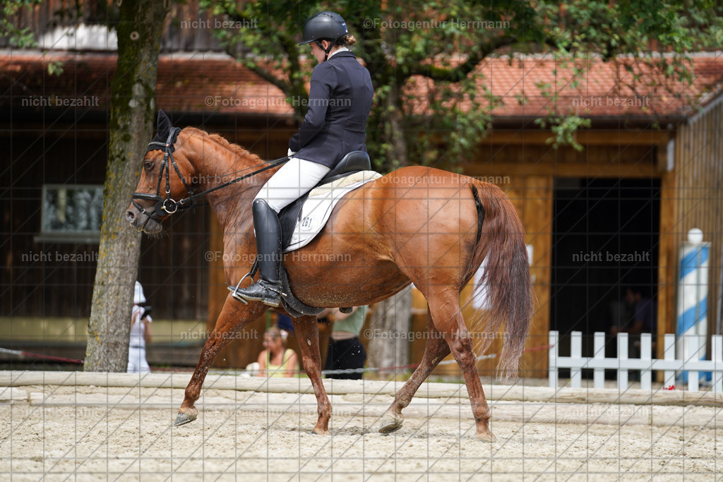 20230826-FAH05626 | Forstinning, 2023, Dressurturnier, Turniersportbilder, Turnierfotografen Bayern, Fotoagentur Herrmann, Reitsportfotografie, Turnierbilder