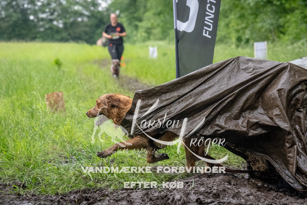 1604_ZZ92054-Bearbeitet | kk-dogfotos