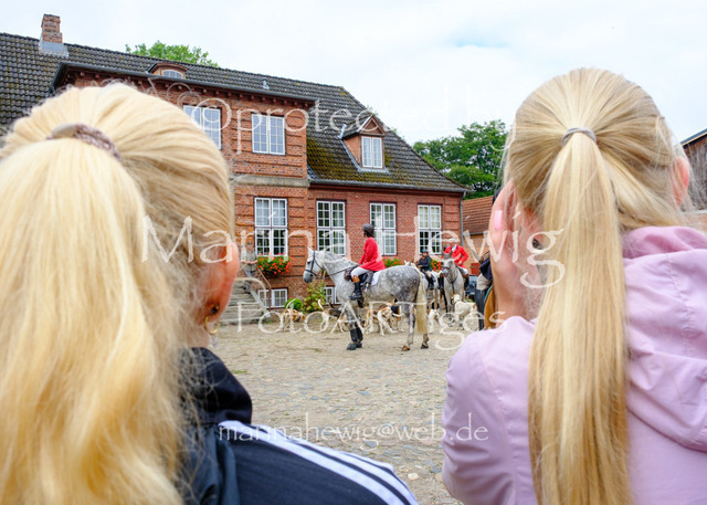 Jagd Knoop 26_MarinaHewigDSCF8674 | Fotografie, FotoArt, PferdesportArt, Pferdesportfotografie, Landschaftsfotografie, Reisefotografie, Reise, Pferde - Realisiert mit Pictrs.com