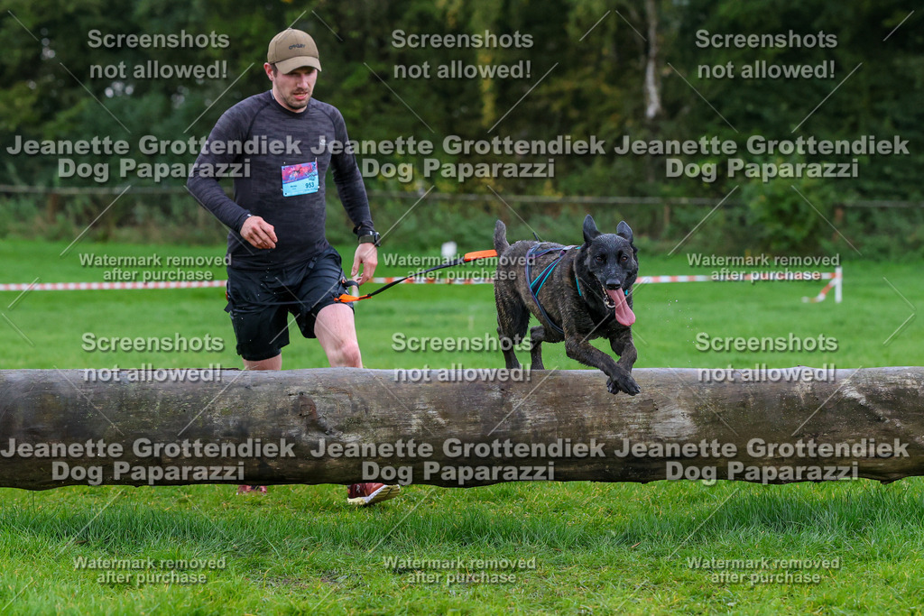 Dog Paparazzi -  SD1026-1987 | Dog Paparazzi Jeanette Grottendiek Fotografie & Videografie - Realisiert mit Pictrs.com