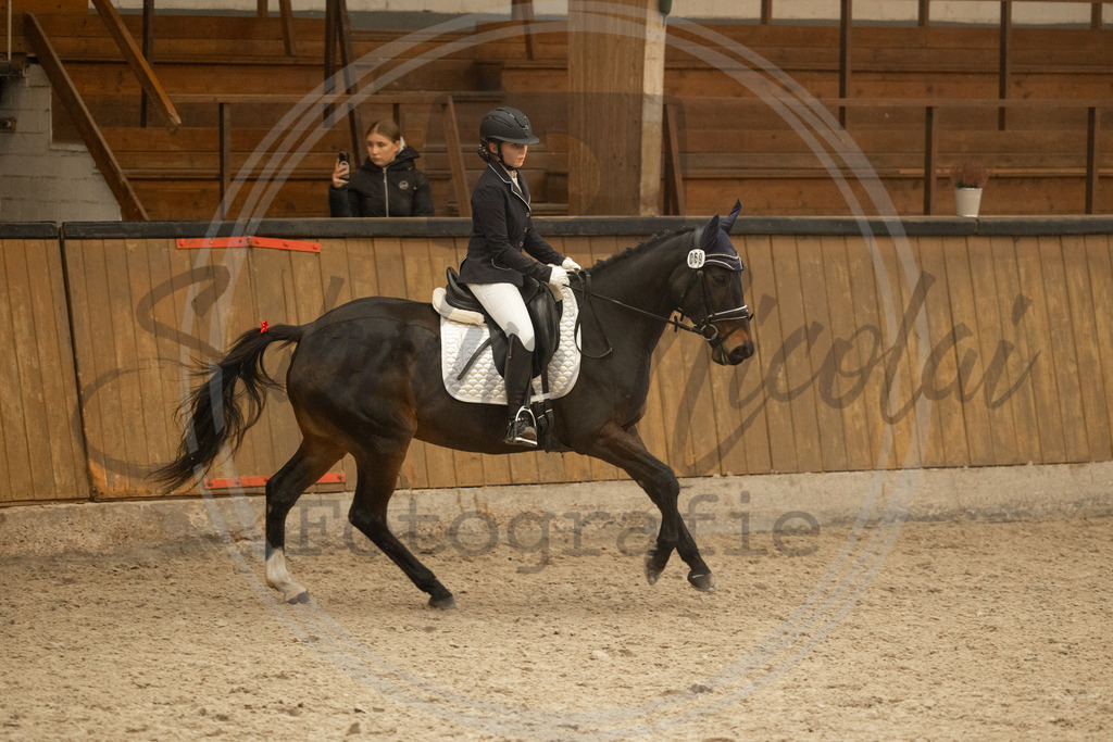 994A3953 | sabrinanicolaifotografie - Realisiert mit Pictrs.com