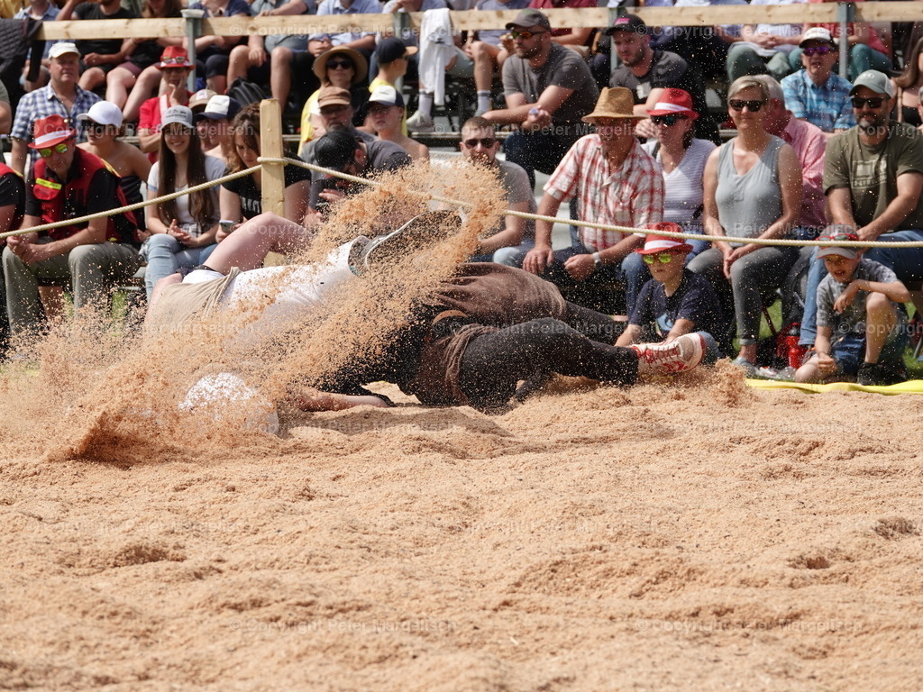 DSC07432 | Schwingen - Realisiert mit Pictrs.com
