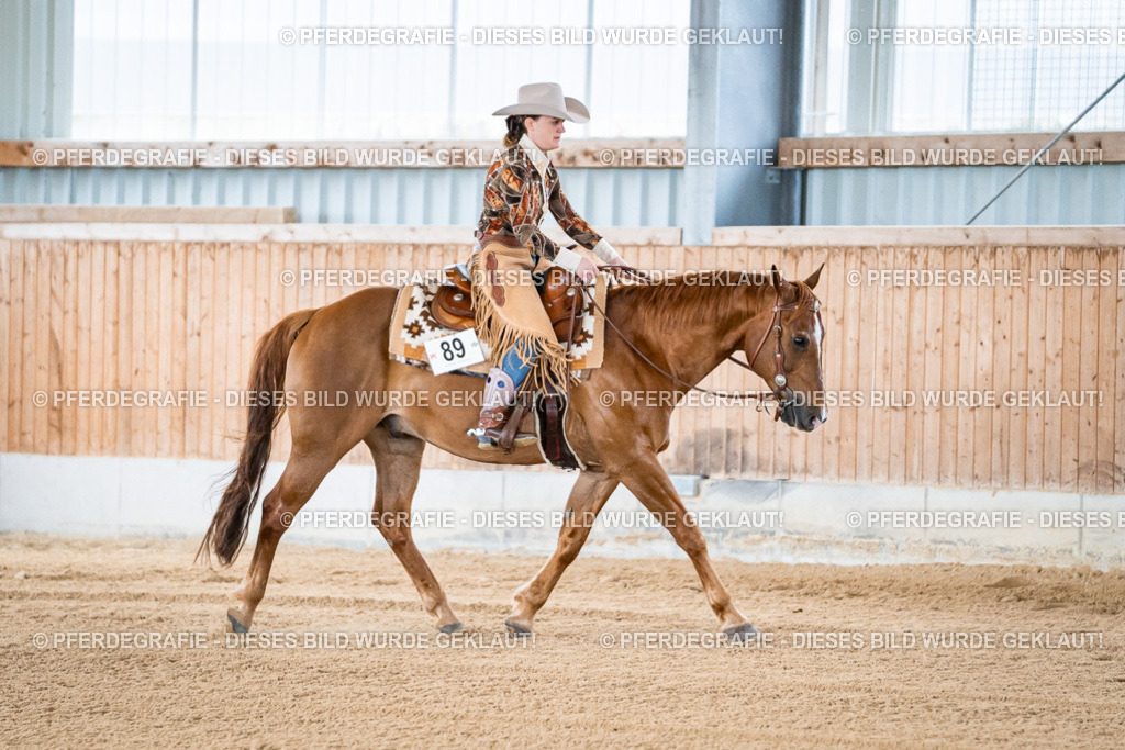 DSC07810 | Pferdegrafie