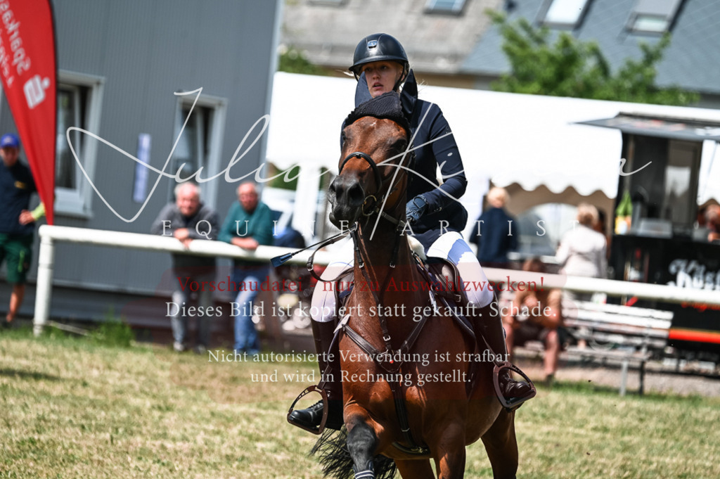 DSC_9114 | Pferde- und Turnierfotografie in Westsachsen. Pferdeportraits, Auftragszeichnungen und intuitive Kunst.