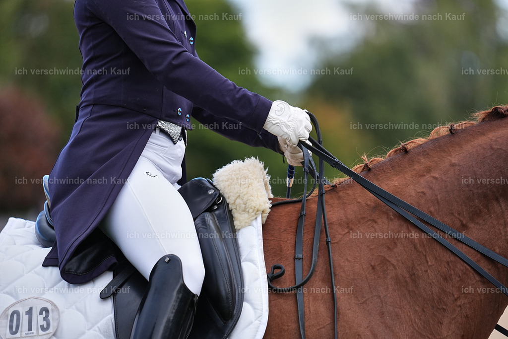 10-113-ST.GEORG SPECIAL -Marixx-3313 | working equitationturnier fotograf videograf stoibphotography marixx film working equitation deutschland reitsport turnierfotografie eventfotografie equestrian events