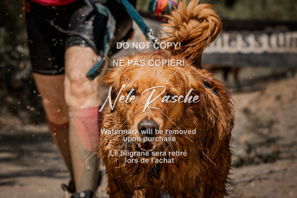 nelerasche_Hoope2026_Sa1330-1400_225 | nelerasche