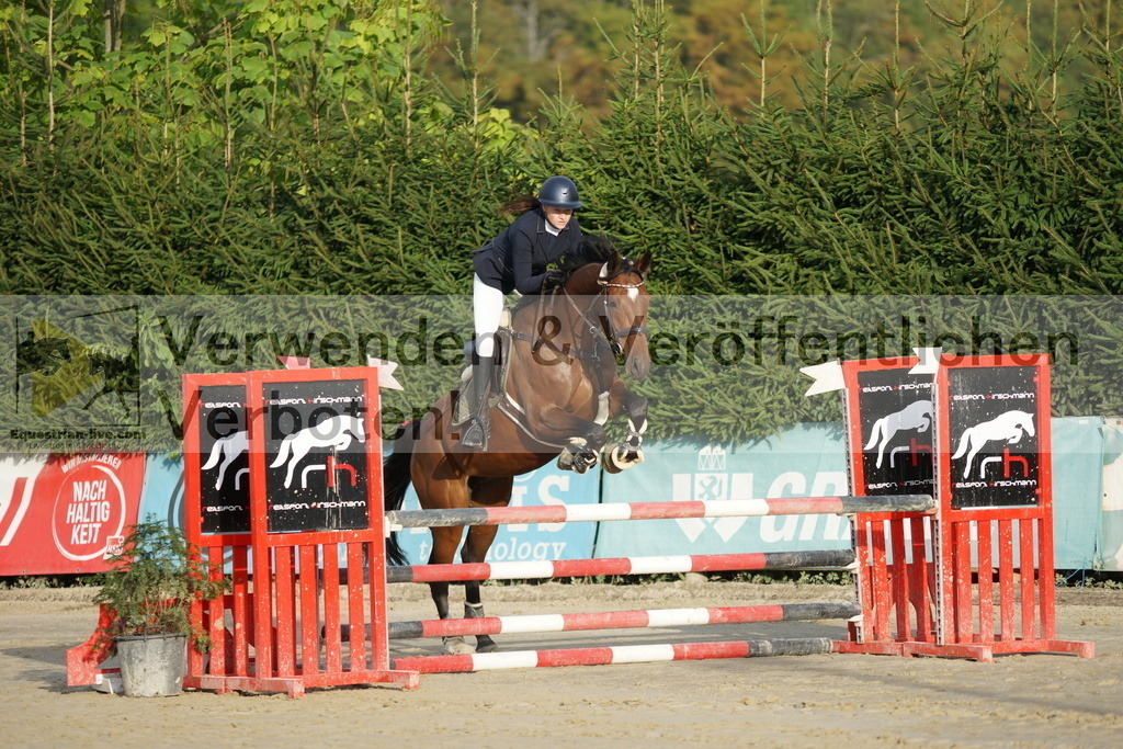 DSC02584 | equestrian-live-com