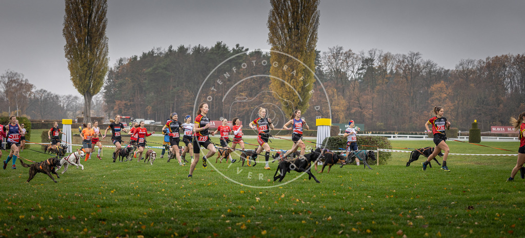 CaniXpix_DV3A8789 | Hundefotografie, Tierfotograf, Pfotenfotografie, Fotoshooting Hund, Hunde Portrait, Hundesport, Hundeportraits, Heideshooting, Hunde, Sportfotograf, Hundefotograf, Turnierhundsport, THS,  - Realisiert mit Pictrs.com