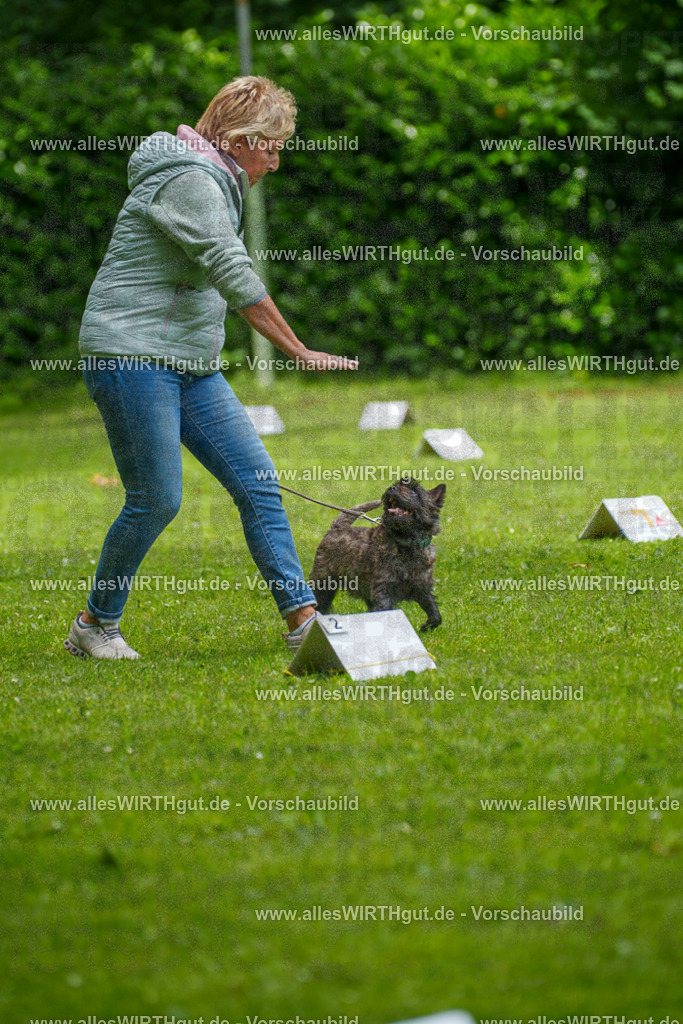 @allesWIRTHgut_Tierfotografie - www.allesWIRTHgut.de - 7R504415 | Professionelle Tierfotografie in Mönchengladbach von Daniel Wirth (allesWIRTHgut). Liebevolle & natürliche Bilder von Hunden & Katzen für unvergessliche Erinnerungen.