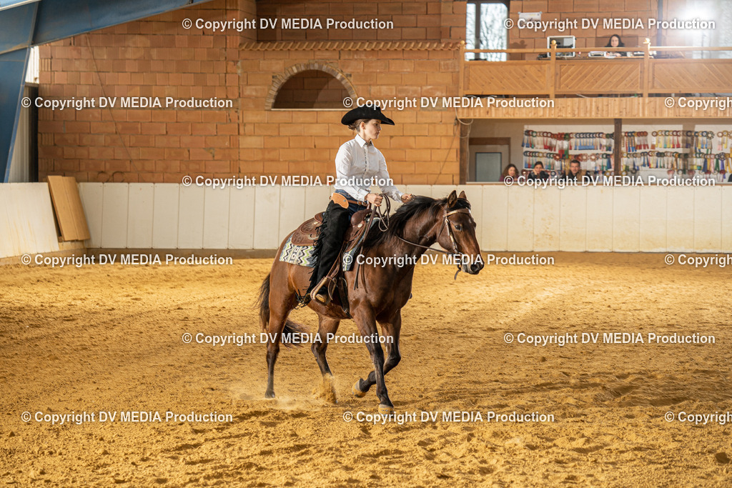 MIT00764 | dv-media-shop - Realisiert mit Pictrs.com