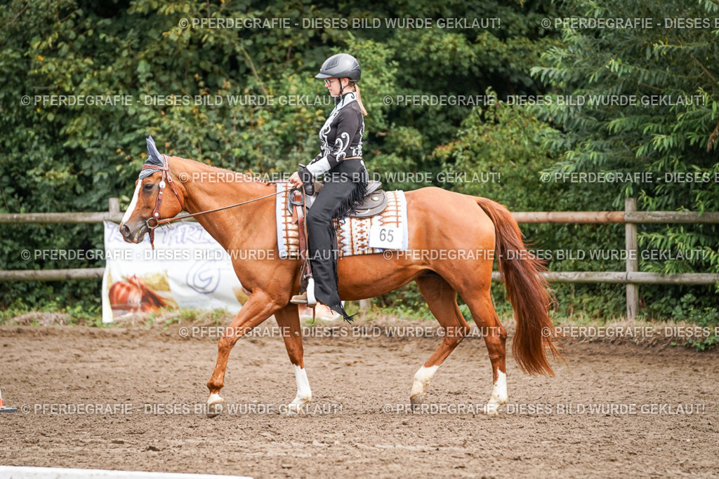 DSC04183 | Pferdegrafie