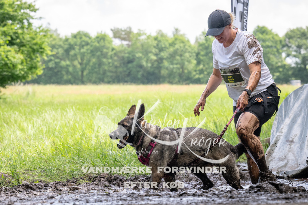 1148_ZZ94636 | kk-dogfotos