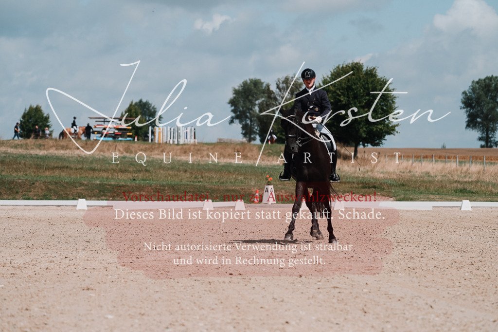DSC_3988 | Pferde- und Turnierfotografie in Westsachsen. Pferdeportraits, Auftragszeichnungen und intuitive Kunst.