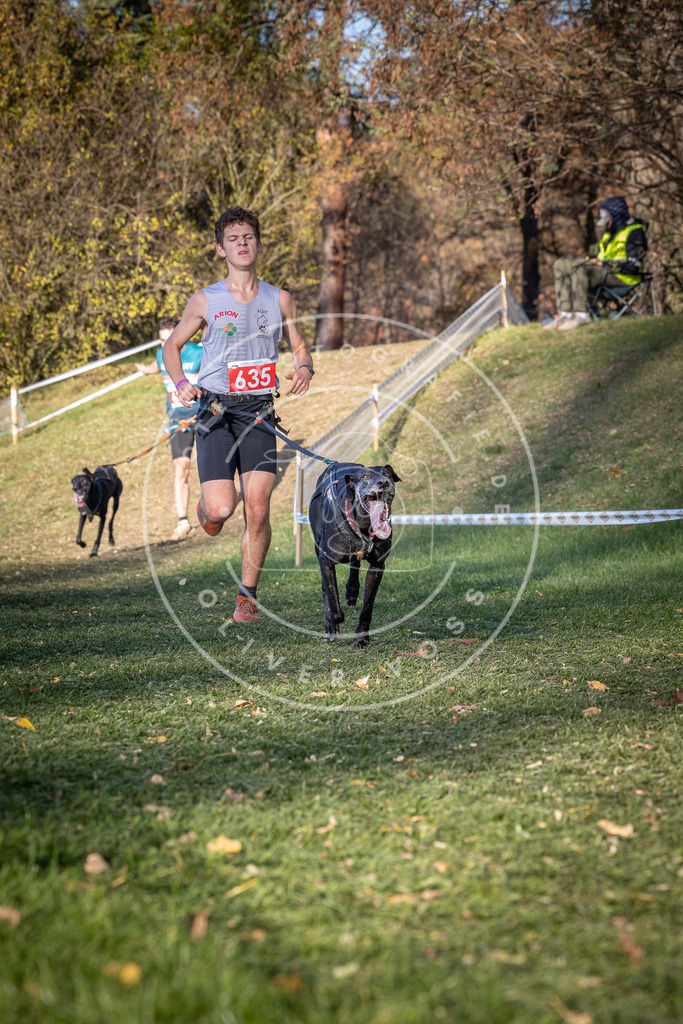 CaniXpix_0L8A8912 | Hundefotografie, Tierfotograf, Pfotenfotografie, Fotoshooting Hund, Hunde Portrait, Hundesport, Hundeportraits, Heideshooting, Hunde, Sportfotograf, Hundefotograf, Turnierhundsport, THS,  - Realisiert mit Pictrs.com