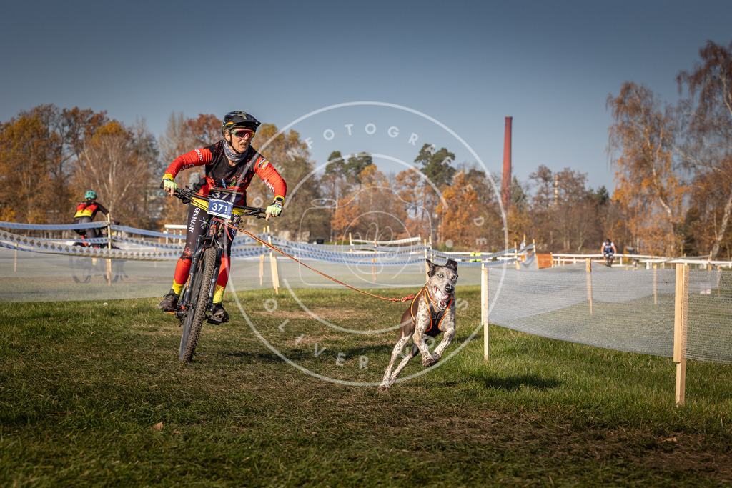 CaniXpix_0L8A7882 | Hundefotografie, Tierfotograf, Pfotenfotografie, Fotoshooting Hund, Hunde Portrait, Hundesport, Hundeportraits, Heideshooting, Hunde, Sportfotograf, Hundefotograf, Turnierhundsport, THS,  - Realisiert mit Pictrs.com