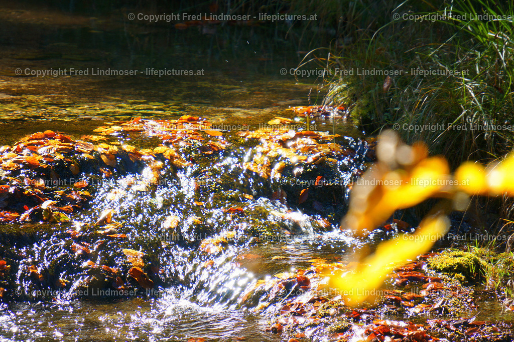 Greimelgraben_DSC02115 | Fotos und Fotoprodukte - Realisiert mit Pictrs.com