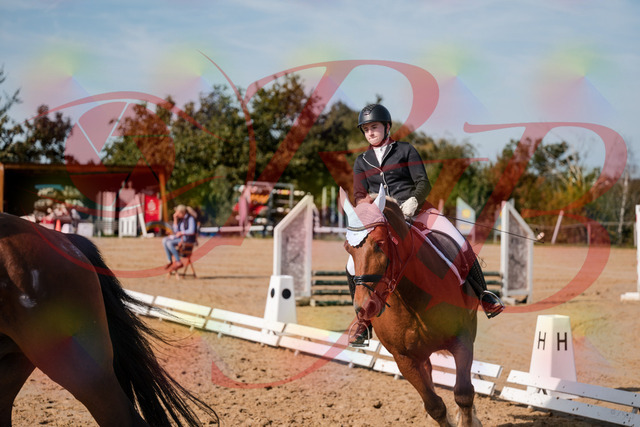2026_10_03_Siefer-Hof_130446_Z63_67868986 | Professionelle Reitsport-, Turnier- und Eventfotografie von Robert Broda. Galerien mit ausgewählten und bearbeiteten Bildern direkt online ansehen und bestellen.