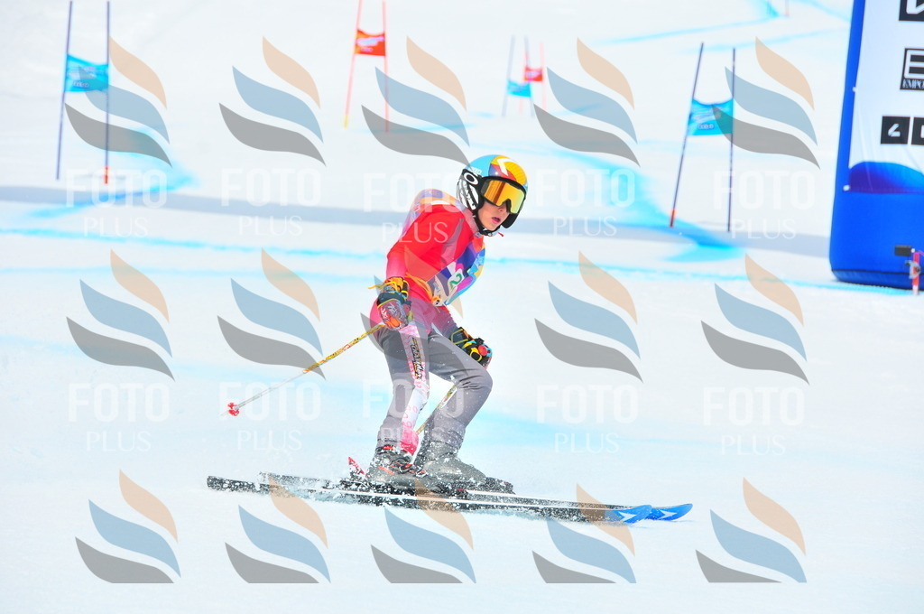 DSC_2253 | holidayphoto