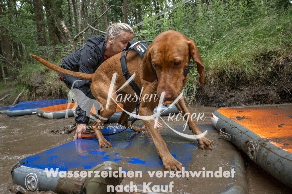 0928_ZZ92515T | kk-dogfotos
