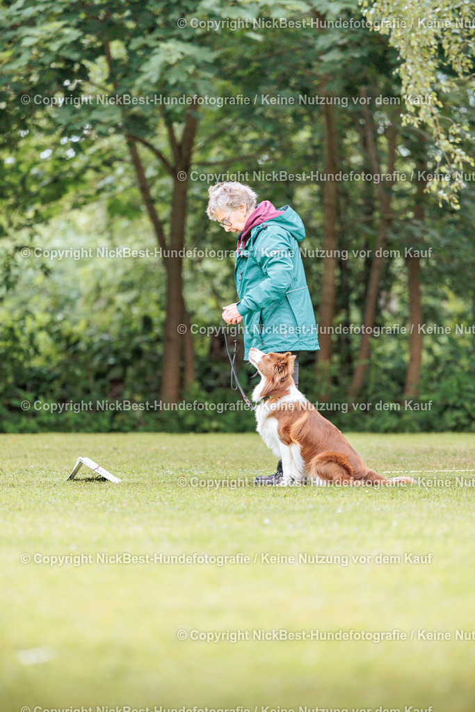 RO-Blumenthal-2026-Nickbest-Hundefotografie-5555 | Dein Hund! Dein Moment! Deine Erinnerungen! Hundefotografie in Bremen Blumenthal. Ich fange die besonderen Momente deines Vierbeiners ein – ob Indoor mit Blitzanlage oder in der freien Natur. Sicher dir dein Moment und dein Termin für eure Erinnerungen.