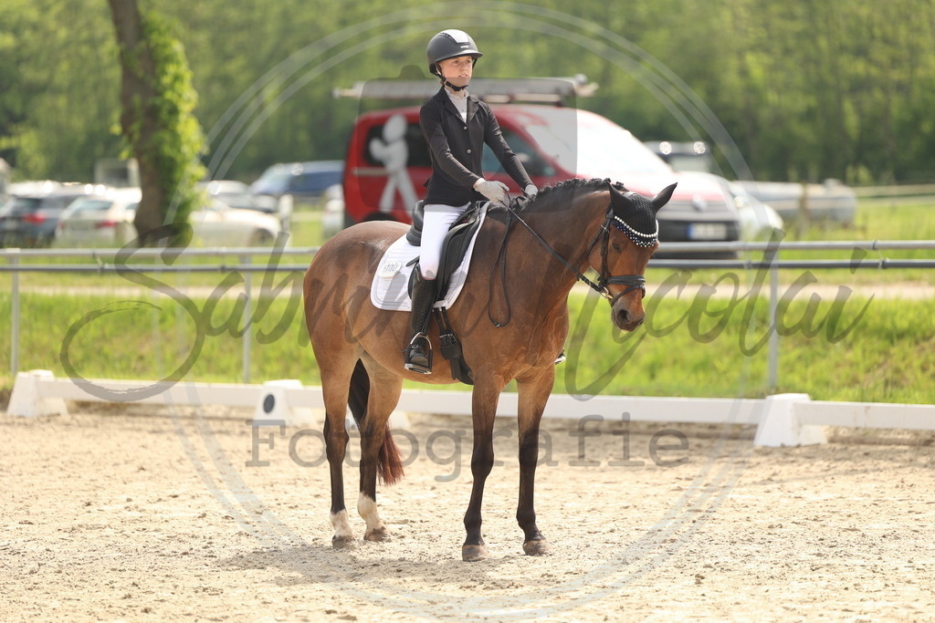 994A6873 | sabrinanicolaifotografie - Realisiert mit Pictrs.com