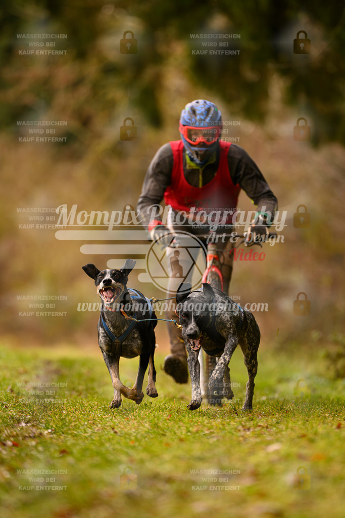 MompixPhotography_2SSTSSBW_2025_SO_Scooter-60 | PayLife