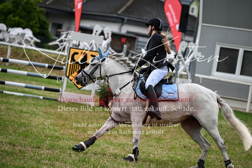 DSC_8507 | Pferde- und Turnierfotografie in Westsachsen. Pferdeportraits, Auftragszeichnungen und intuitive Kunst.