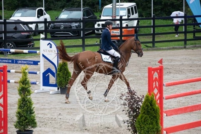 2B4A2629 | pixelfaenger - Realisiert mit Pictrs.com