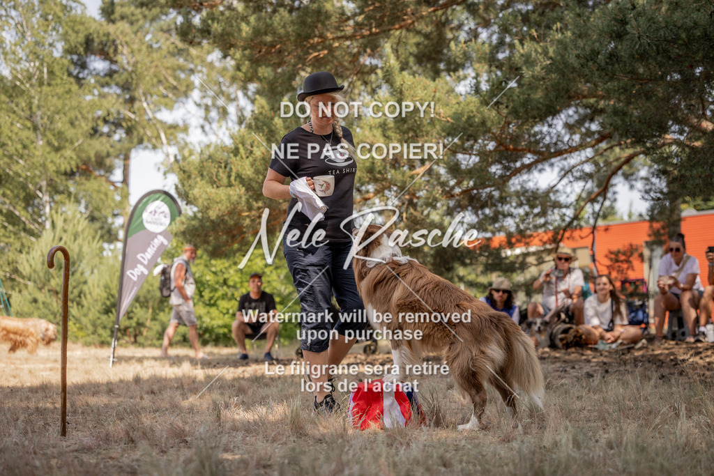 nelerasche_soDD2_127 | nelerasche