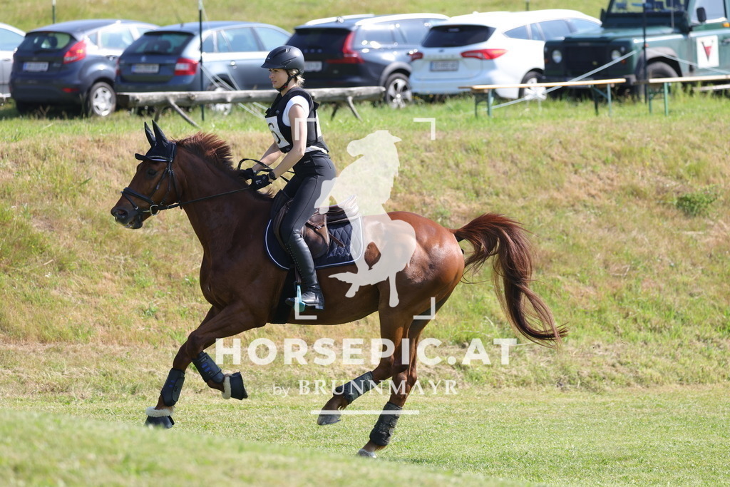 0P6A7543 | Willkommen bei Brunnmayr - Design & Fotografie – Ihrem Spezialisten für Reitturniere und Pferdeveranstaltungen in Oberösterreich, Salzburg und Bayern! Seit über 17 Jahren sind wir leidenschaftlich dabei.