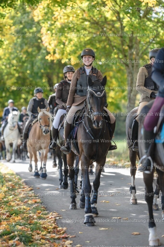 20251011_Jagd-Marbach_0298 | Foto: Thomas Hartig
