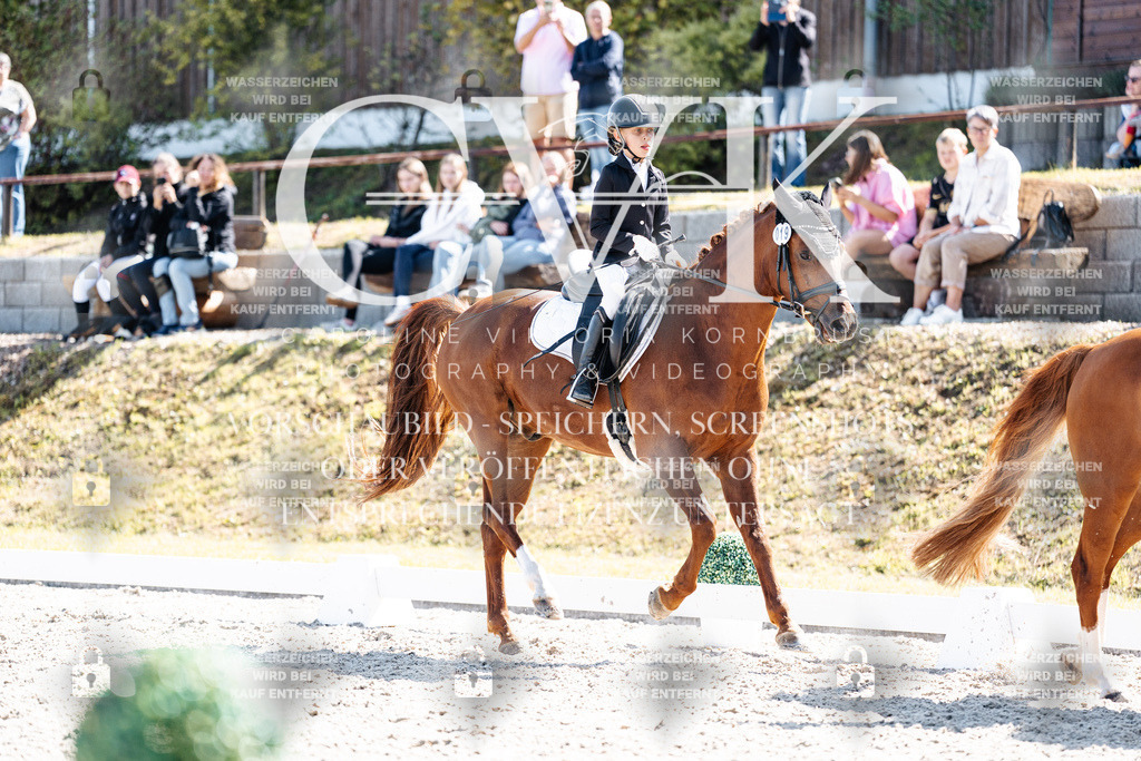 CK903111 | Turnierfotografie Pferdefotografie Trier Rheinland-Pfalz Pferdesport Reitsport Tierfotografie Sportfotografie Pferdevideo Pferdevideografie Equestrianvideography equestrianphotography  - Realisiert mit Pictrs.com