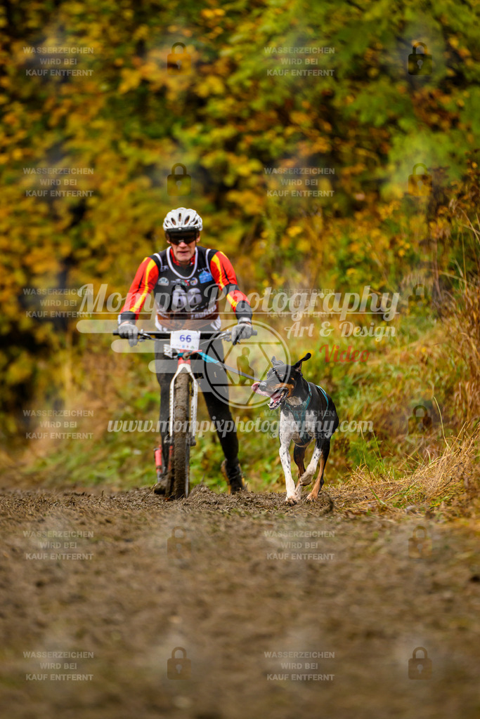 MompixPhotography_ICF_WC_2024_SA_DS_-148 | PayLife