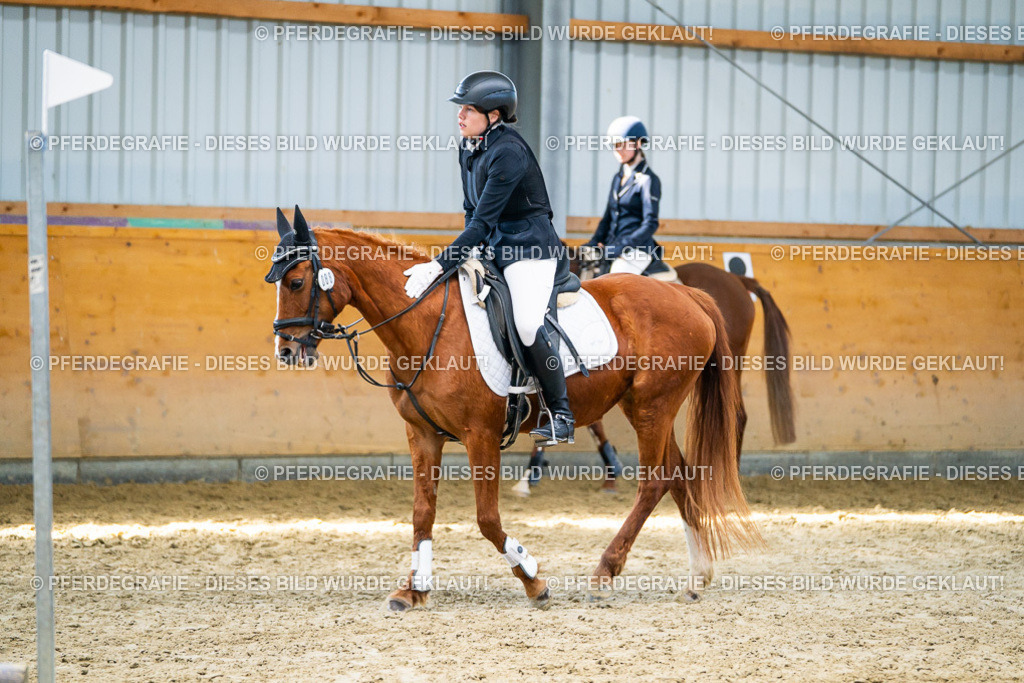 DSC02077 | Pferdegrafie