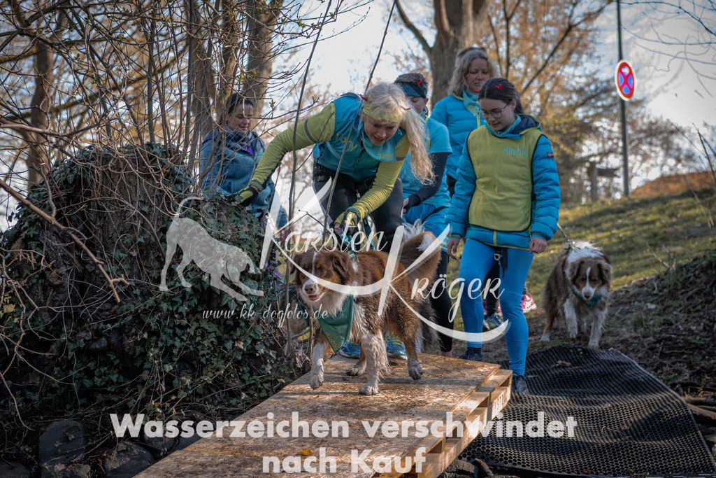 0827_ZZ91032 | kk-dogfotos