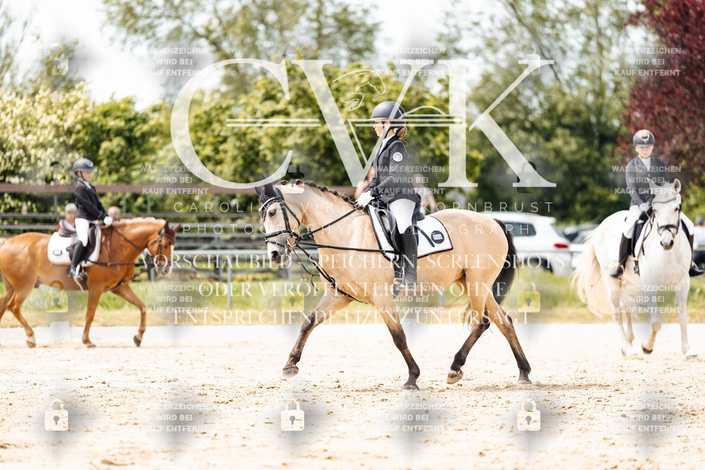 CK902461 | Turnierfotografie Pferdefotografie Trier Rheinland-Pfalz Pferdesport Reitsport Tierfotografie Sportfotografie Pferdevideo Pferdevideografie Equestrianvideography equestrianphotography  - Realisiert mit Pictrs.com