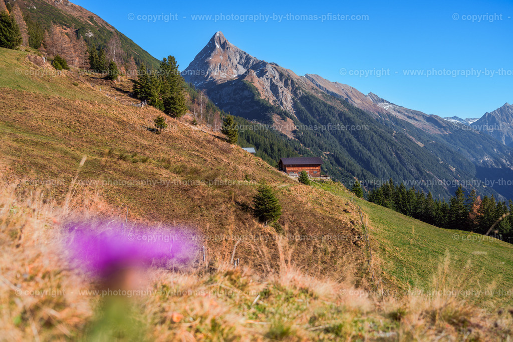 Laberg Herbst copyright  Thomas Pfister-7 | PHOTOGRAPHY BY THOMAS PFISTER